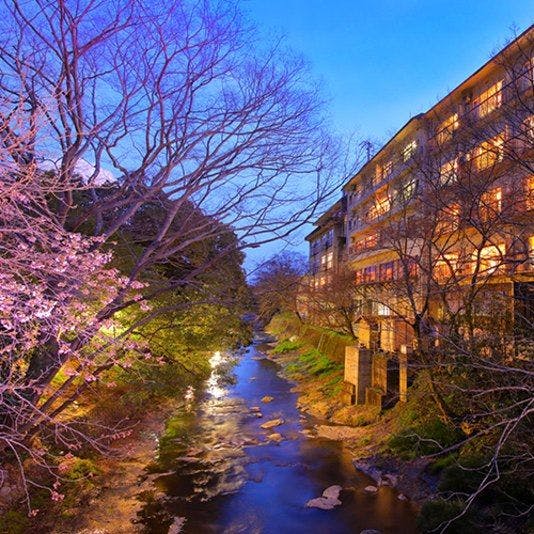 Sakakibara Onsen Ryokan Seishonagon