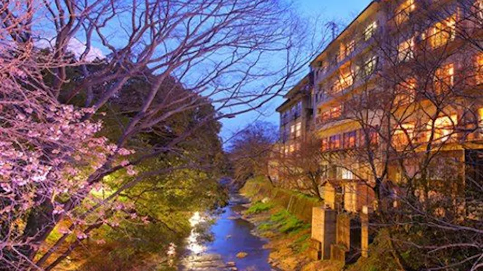 Sakakibara Onsen Ryokan Seishonagon