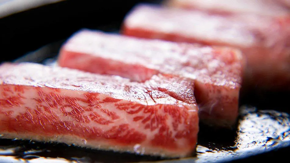 Sakakibara Onsen Ryokan Seishonagon