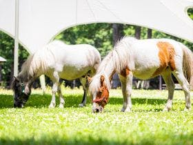 中札内農村休暇村フェーリエンドルフ