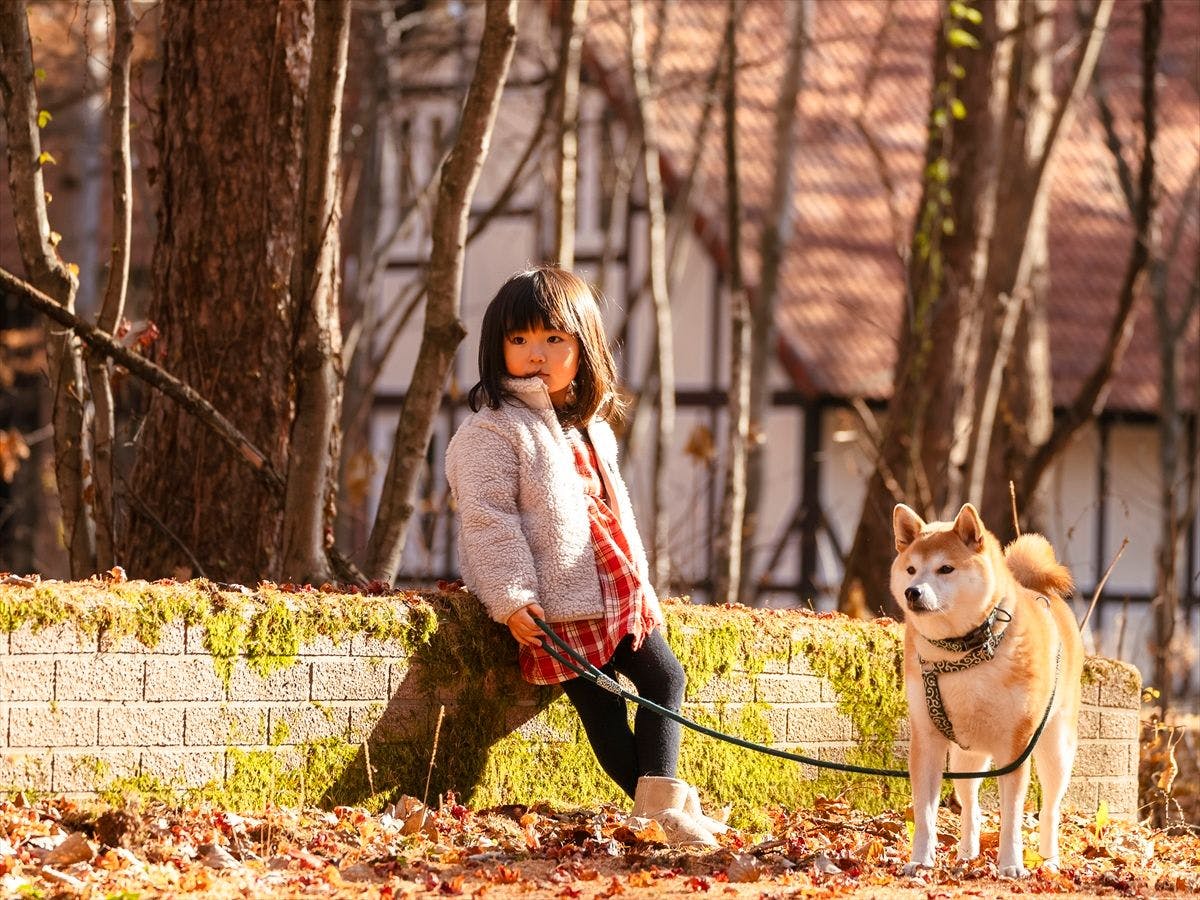 Tokachi Nakasatsunai Glamping Resort Ferien Dorf
