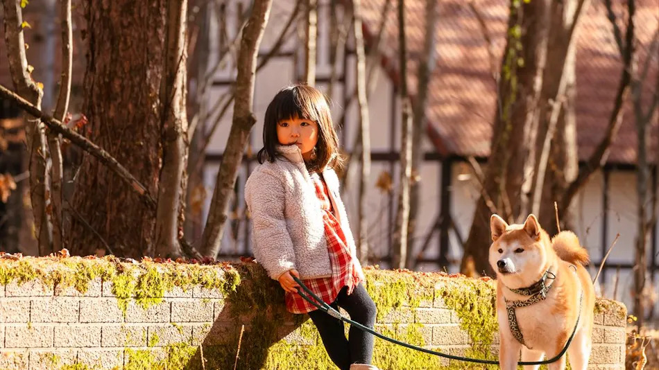 Tokachi Nakasatsunai Glamping Resort Ferien Dorf