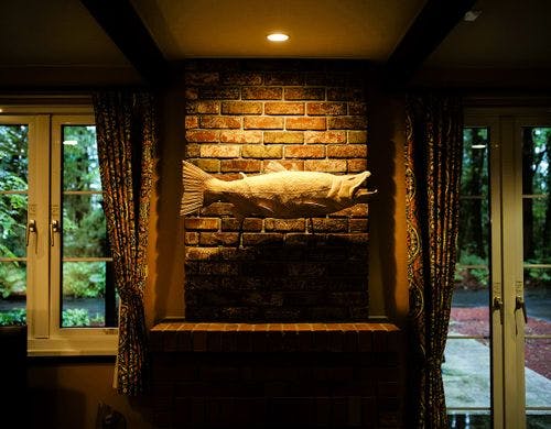 ■＜HIGUMA＞森の哲学者■