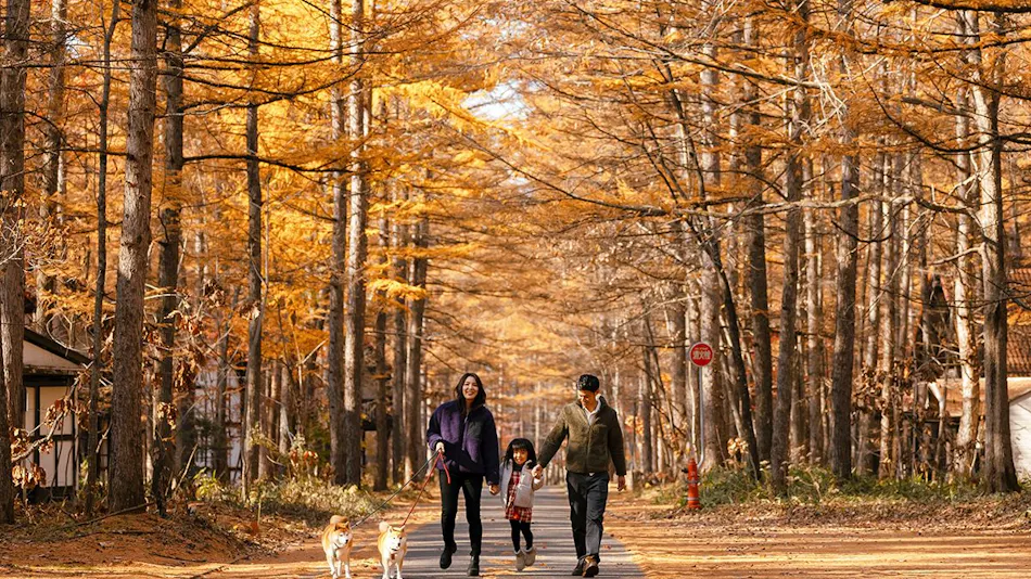Tokachi Nakasatsunai Glamping Resort Ferien Dorf