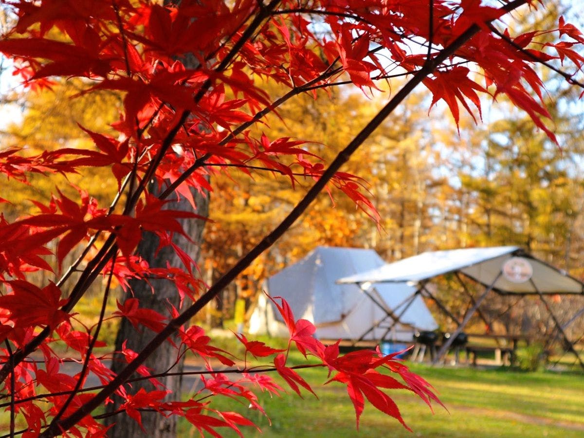 Tokachi Nakasatsunai Glamping Resort Ferien Dorf