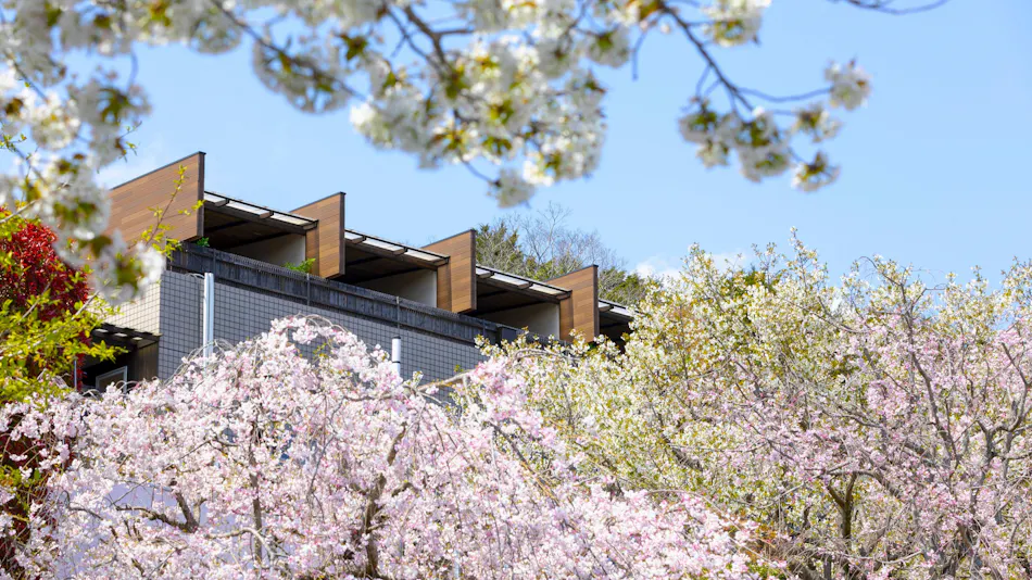 Zekkeino Yado Sakura-tei