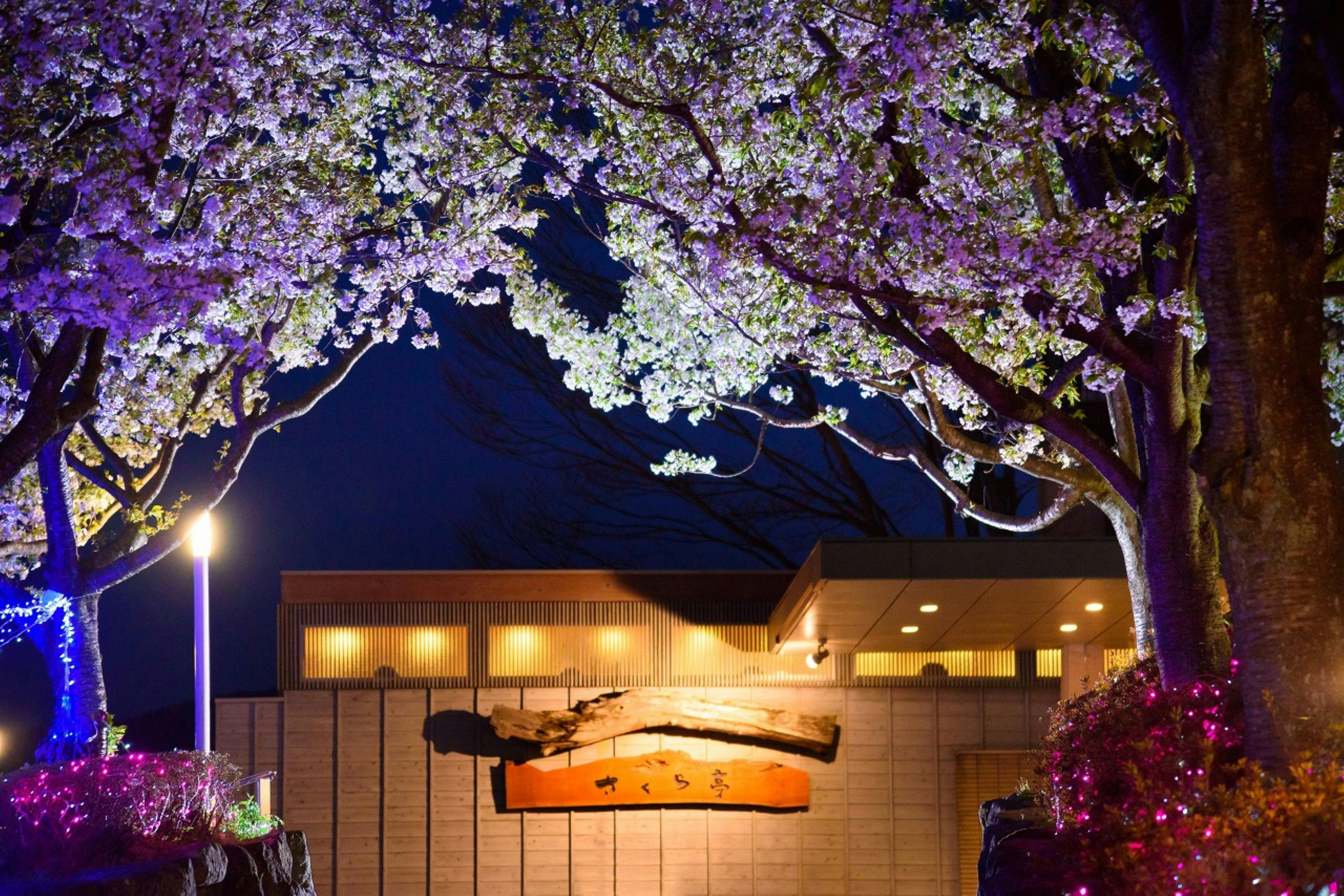 Zekkeino Yado Sakura-tei