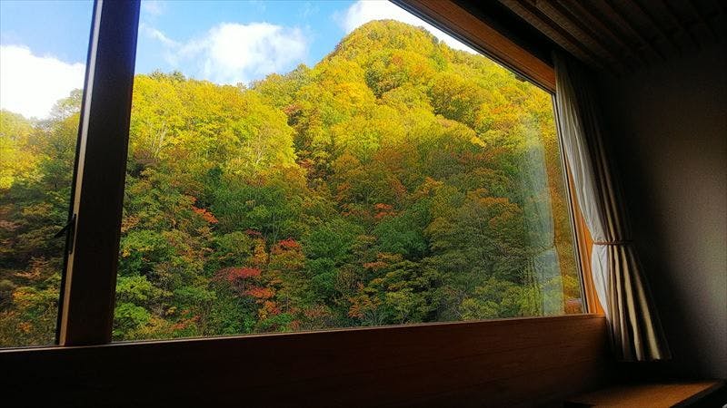 View from the Western-style room on the 1st floor