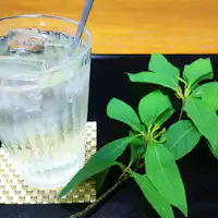 Kuromoji Soda