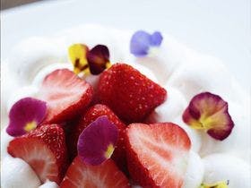 コテージ＆ペンション　ＮＡＮＪＡ　ＭＯＮＪＡ