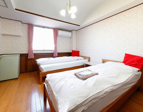 レディースツイン