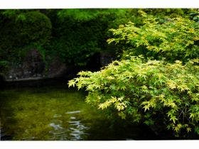 国民宿舎　松代荘