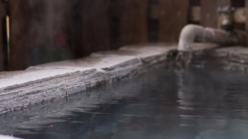 Kamioka Onsen Hozanso