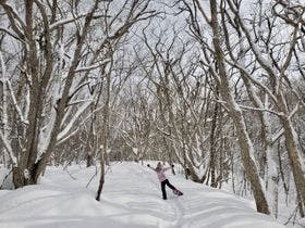 嬬恋の宿　あいさい