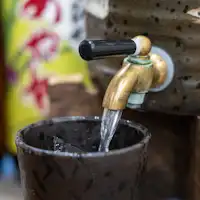 บาร์โชจู