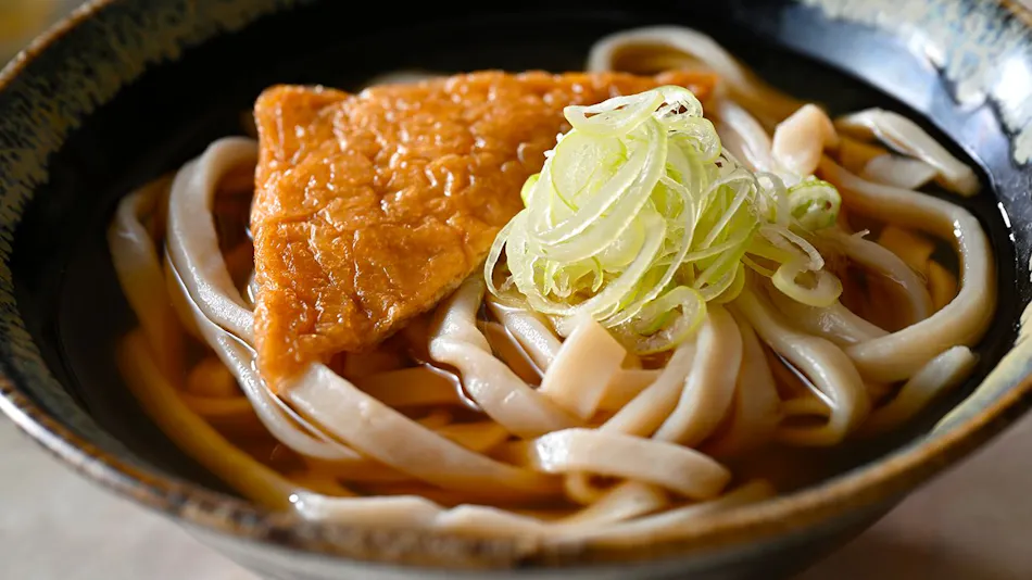 Ikoi no Mura Heritage Minoyama