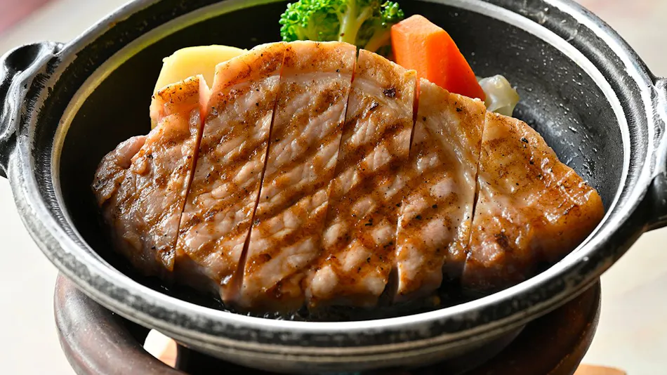Ikoi no Mura Heritage Minoyama