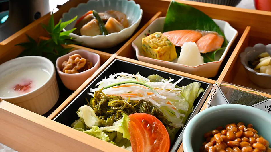 Ikoi no Mura Heritage Minoyama