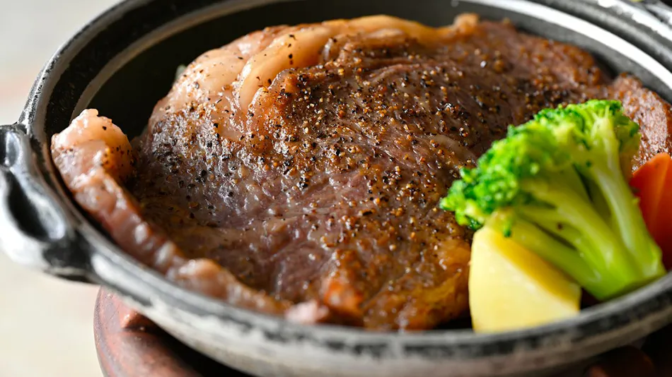 Ikoi no Mura Heritage Minoyama