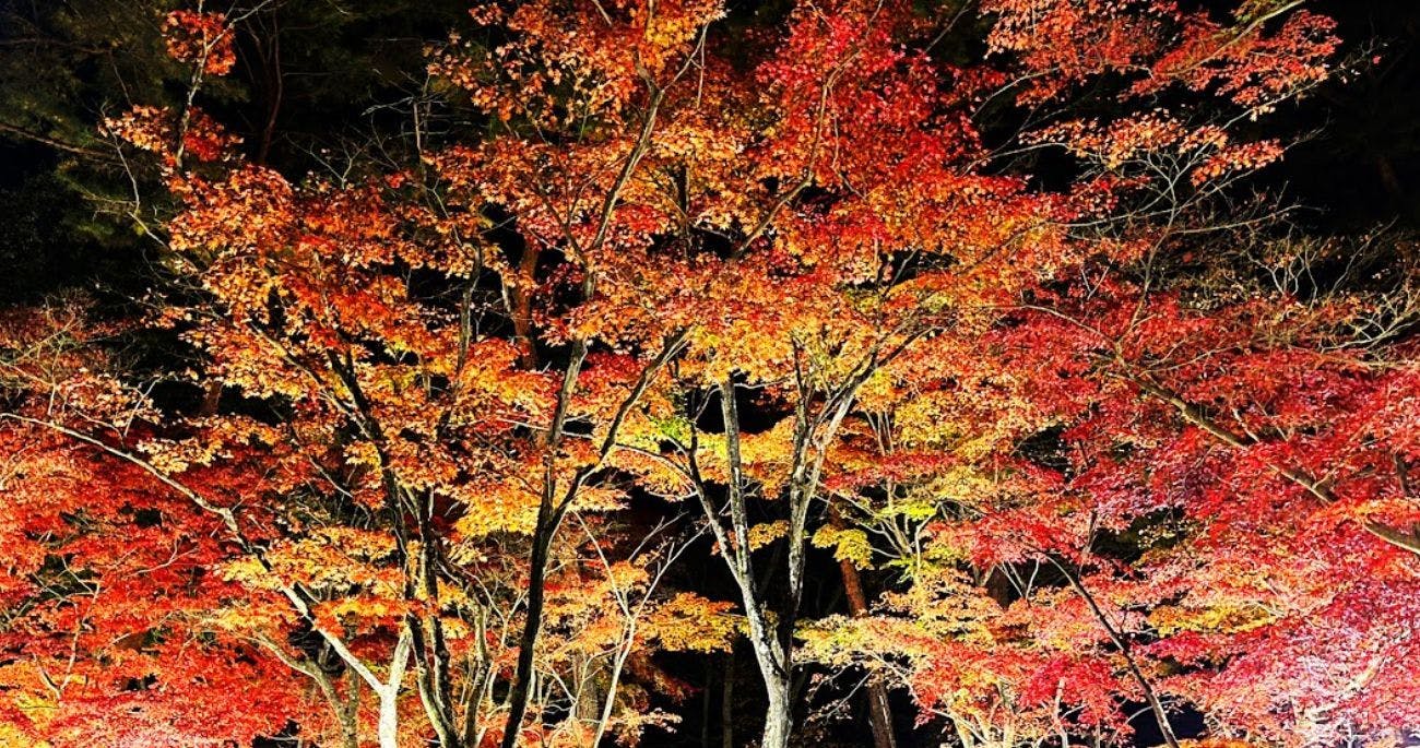 Ikoi no Mura Heritage Minoyama