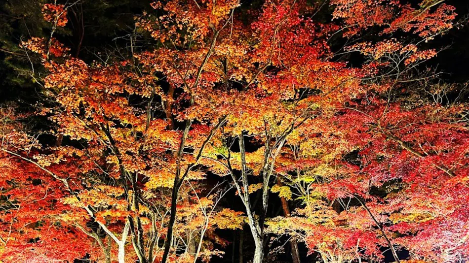 Ikoi no Mura Heritage Minoyama