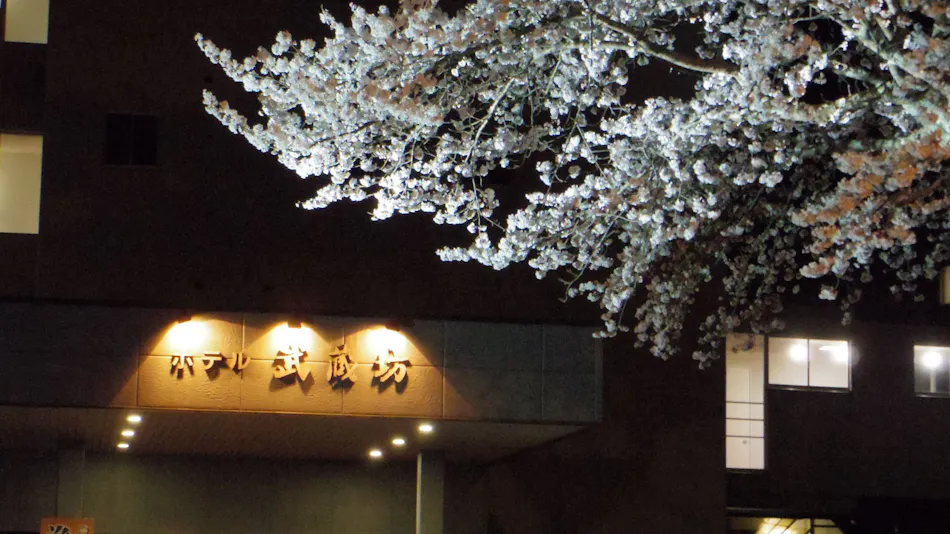 Hiraizumi Hotel Musashibou