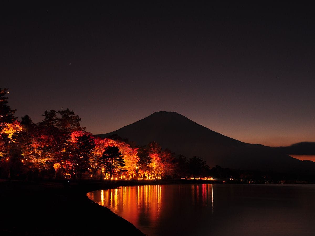 เทศกาลใบไม้เปลี่ยนสีที่ทะเลสาบยามานากะอันงดงาม