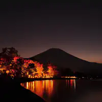 เทศกาลใบไม้เปลี่ยนสีที่ทะเลสาบยามานากะอันงดงาม