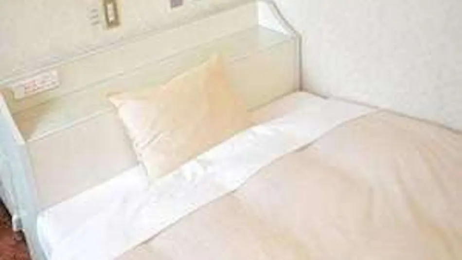 Green Hotel Rich Tokugawaen