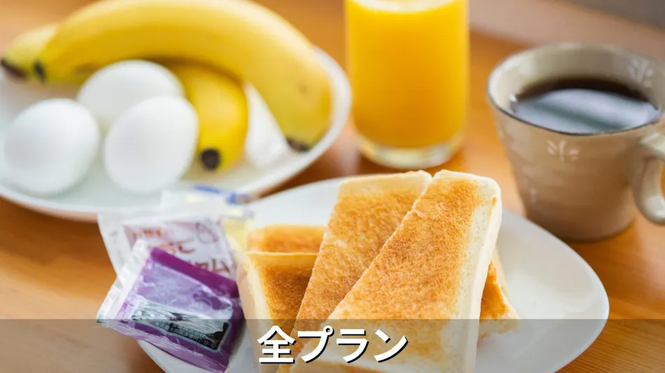 Business Hotel Toyo