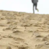 เนินทรายทตโตริ