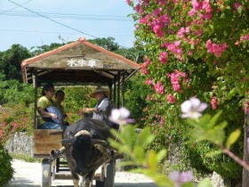 ホテルピースアイランド竹富島