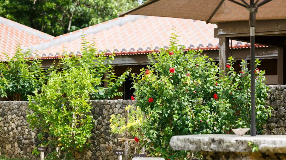 Hotel Peace Island Taketomi Island
