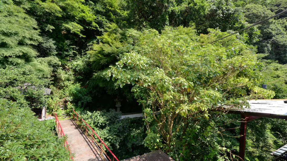 Togakubo