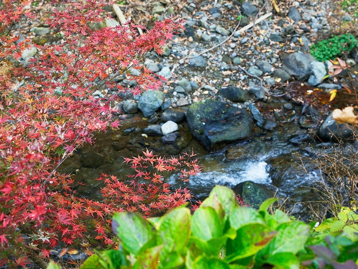 Togakubo