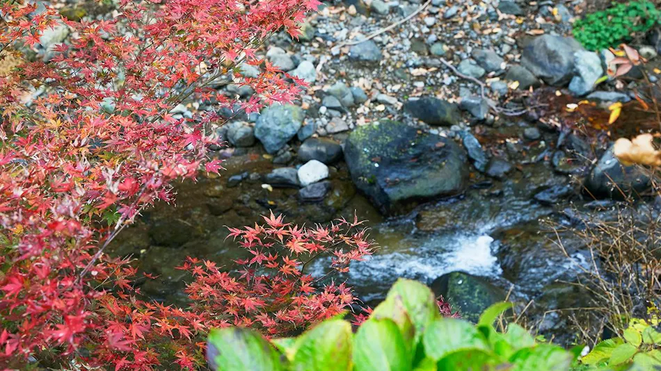 Togakubo