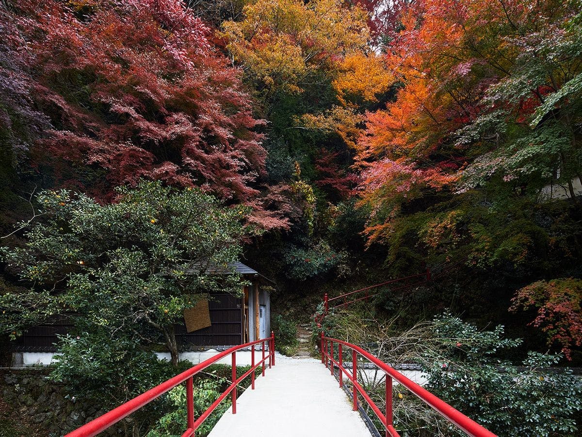 Togakubo