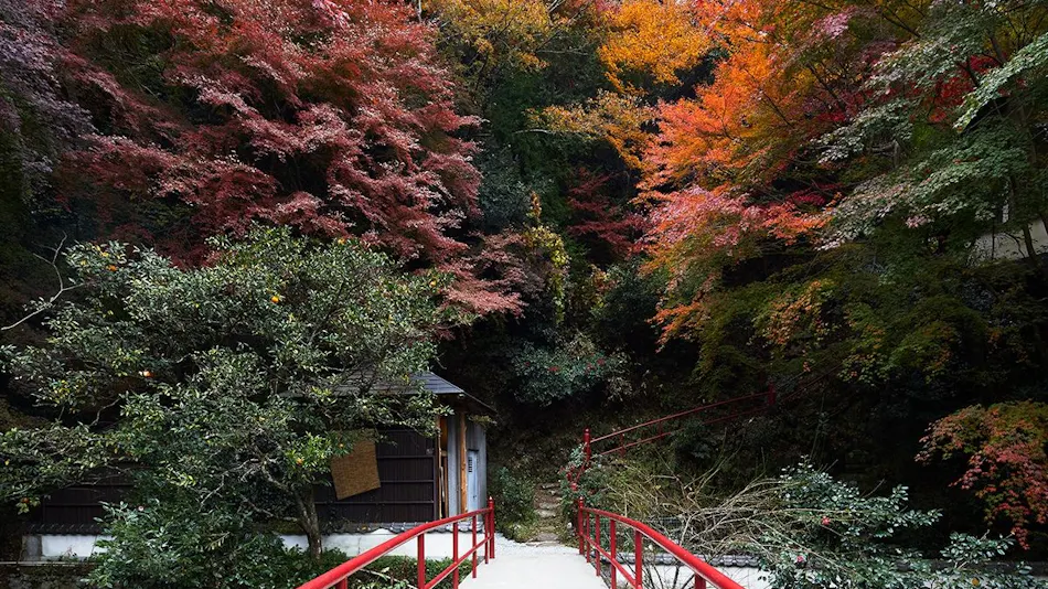 Togakubo
