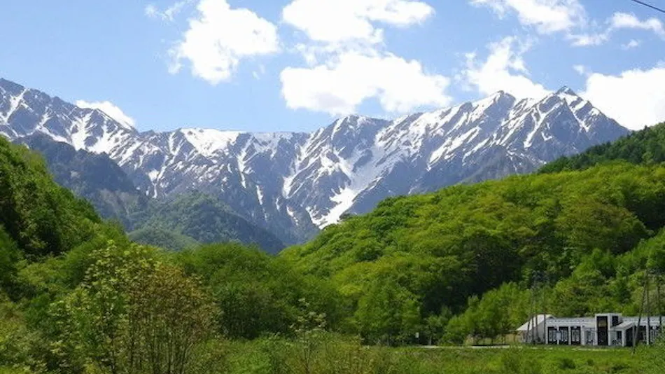 Mountain Lodge Wiz