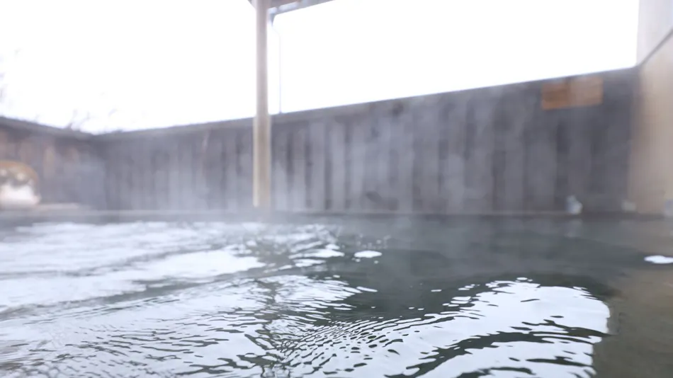 Onsen Ryokan Yama no Takohei