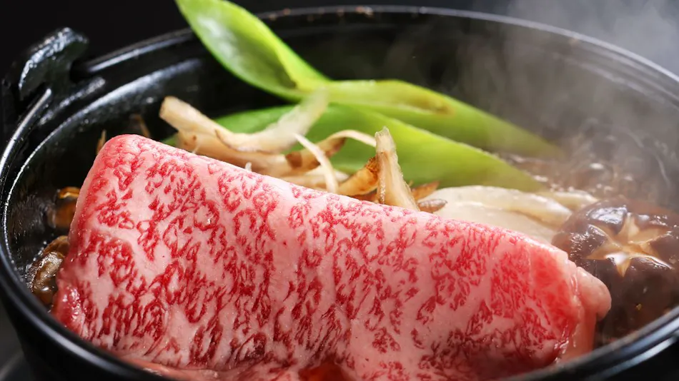 Tango Kami no Onsen Ryokan Suzuran
