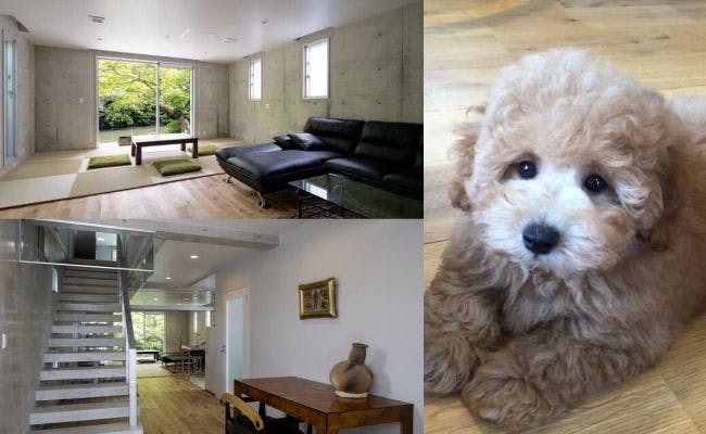 Boarding house 淞華 - ワンちゃんと泊まる～1階のみご利用