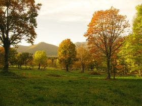 パークロッヂ関根