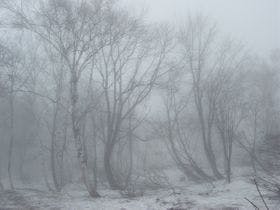 パークロッヂ関根