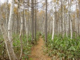 パークロッヂ関根