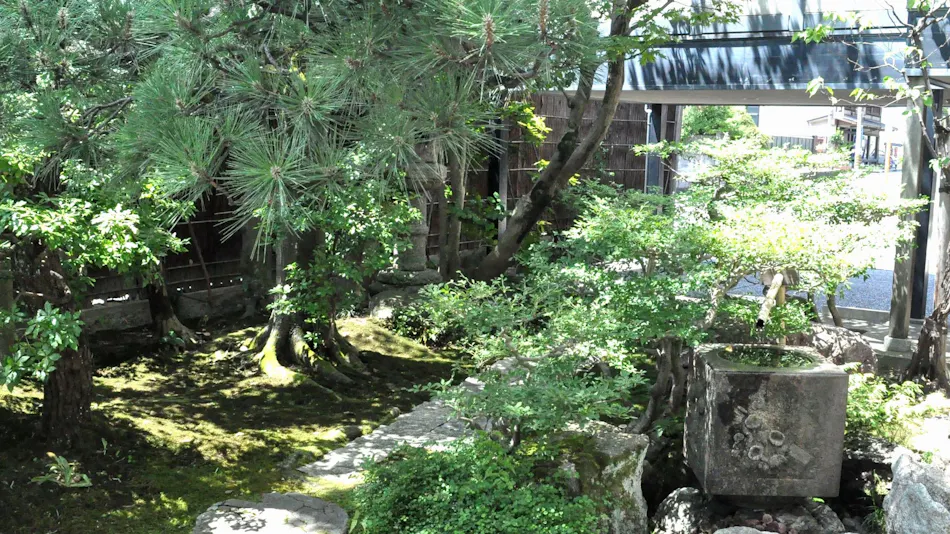 Camellia Inn Yukitsubaki