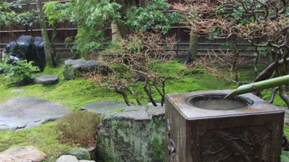Camellia Inn Yukitsubaki