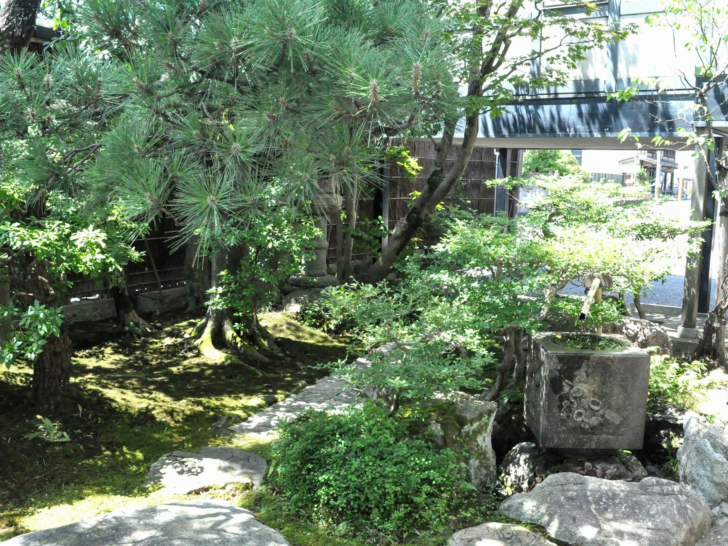 Camellia Inn Yukitsubaki