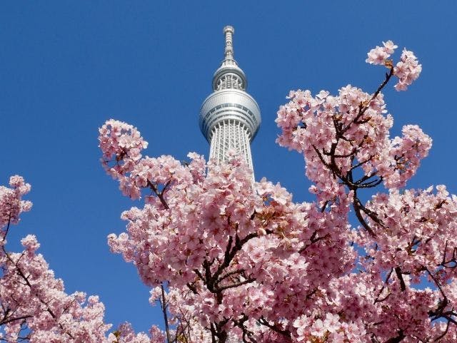 Day Nice Hotel Tokyo