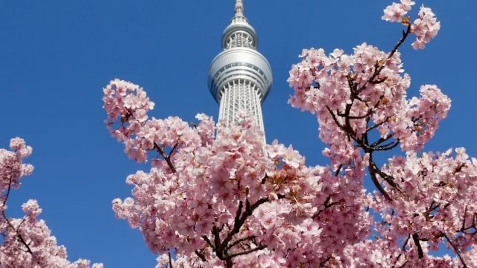 Day Nice Hotel Tokyo
